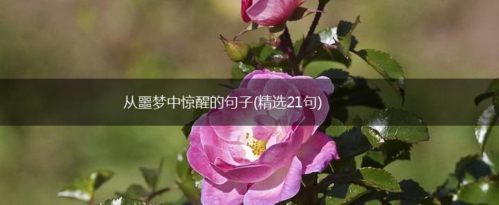 从噩梦中惊醒的句子(精选21句),第1张