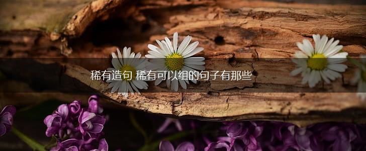 稀有造句 稀有可以组的句子有那些,第1张
