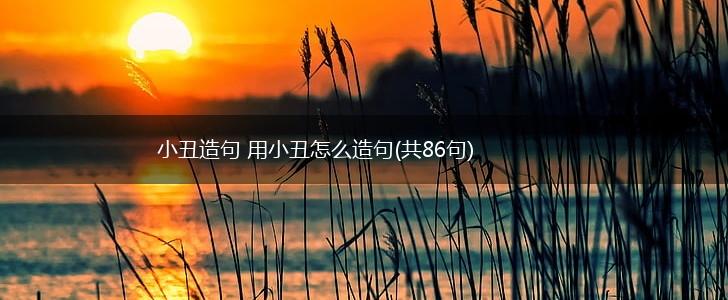 小丑造句 用小丑怎么造句(共86句),第1张