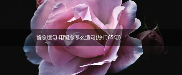 留念造句 用留念怎么造句(热门65句),第1张