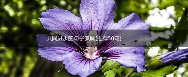 共同进步的句子激励(推荐50句),第1张