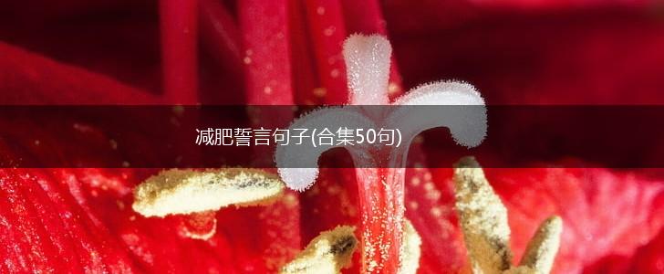 减肥誓言句子(合集50句),第1张
