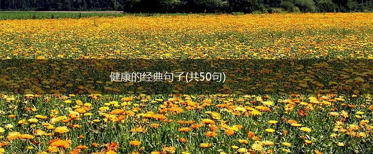 健康的经典句子(共50句),第1张
