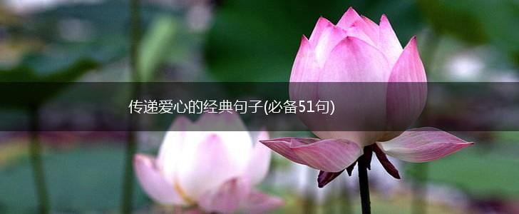 传递爱心的经典句子(必备51句),第1张
