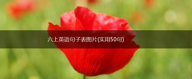 六上英语句子表图片(实用50句),第1张