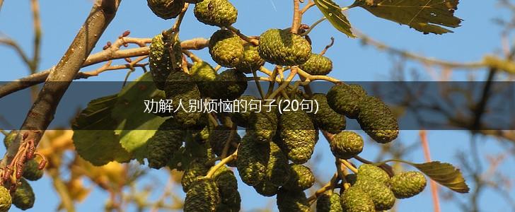 劝解人别烦恼的句子(20句),第1张