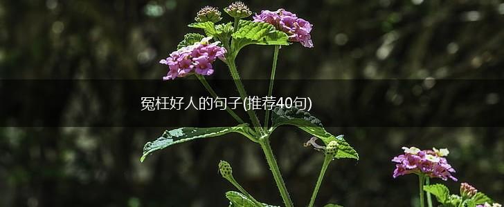 冤枉好人的句子(推荐40句),第1张