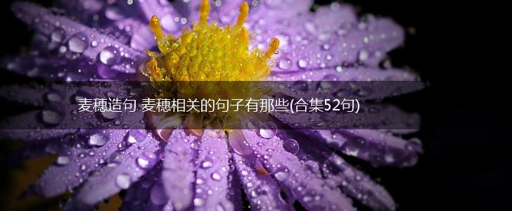 麦穗造句 麦穗相关的句子有那些(合集52句),第1张
