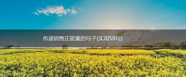传递销售正能量的句子(实用50句),第1张