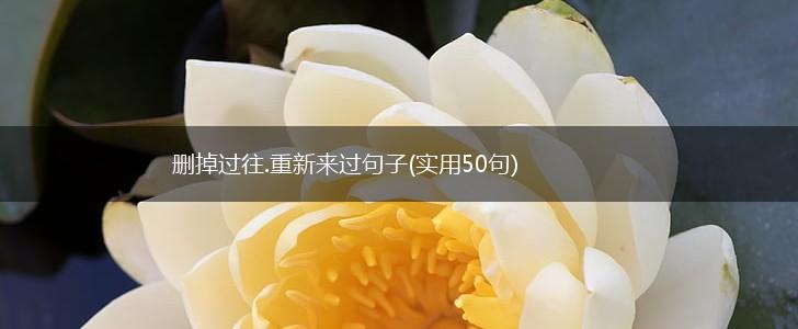 删掉过往.重新来过句子(实用50句),第1张