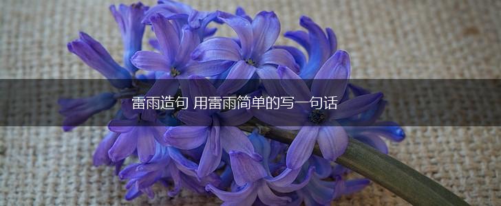 雷雨造句 用雷雨简单的写一句话,第1张