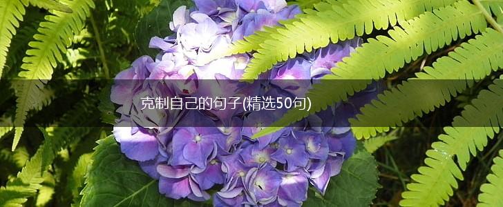 克制自己的句子(精选50句),第1张