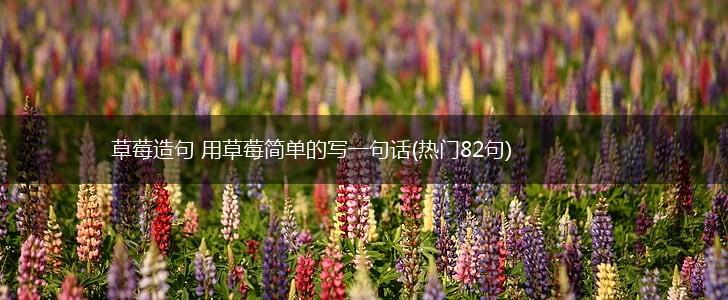 草莓造句 用草莓简单的写一句话(热门82句),第1张