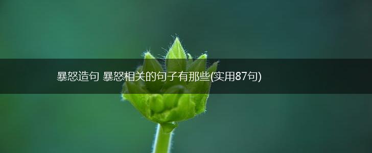 暴怒造句 暴怒相关的句子有那些(实用87句),第1张