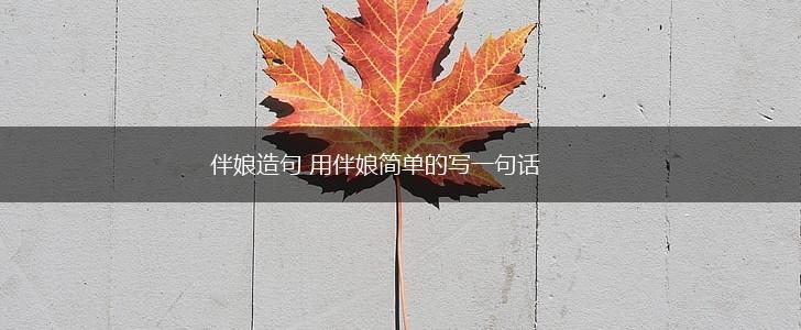 伴娘造句 用伴娘简单的写一句话,第1张