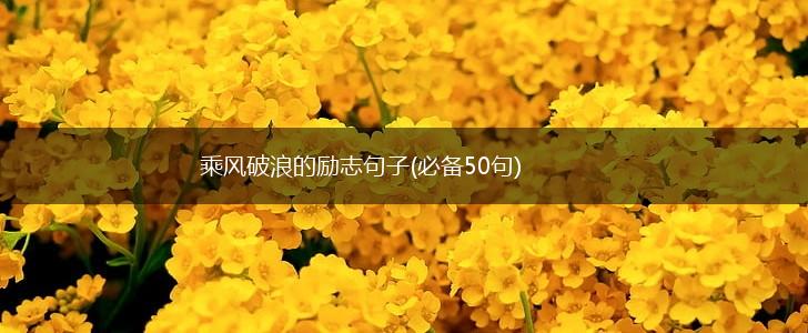 乘风破浪的励志句子(必备50句),第1张