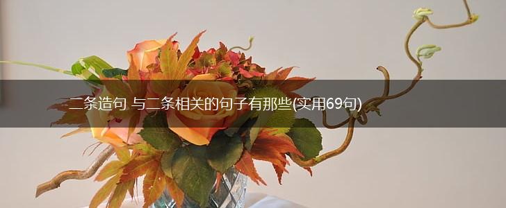 二条造句 与二条相关的句子有那些(实用69句),第1张