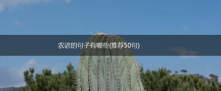 农谚的句子有哪些(推荐50句),第1张