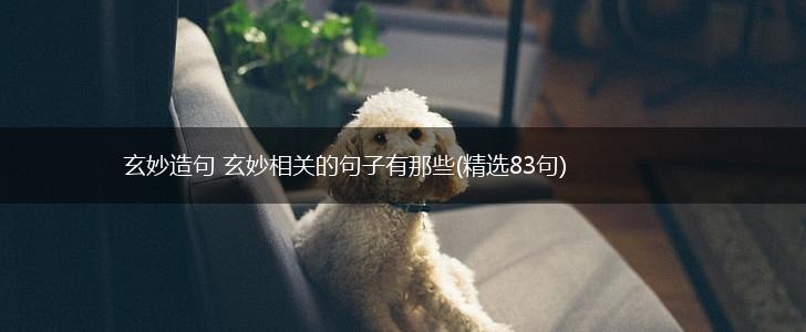 玄妙造句 玄妙相关的句子有那些(精选83句),第1张