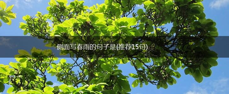 侧面写春雨的句子是(推荐15句),第1张