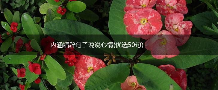 内涵精辟句子说说心情(优选50句),第1张