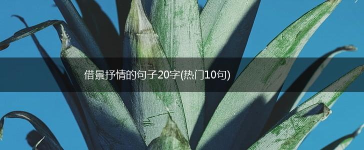 借景抒情的句子20字(热门10句),第1张