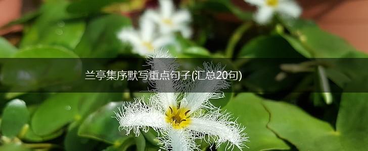 兰亭集序默写重点句子(汇总20句),第1张