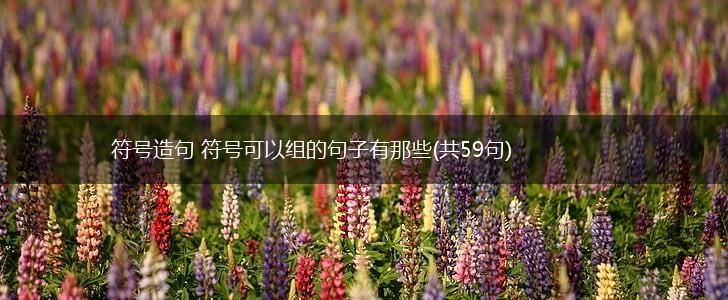 符号造句 符号可以组的句子有那些(共59句),第1张