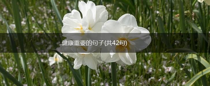 健康重要的句子(共42句),第1张