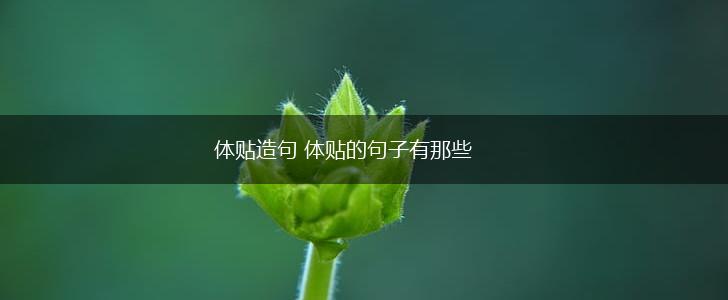 体贴造句 体贴的句子有那些,第1张