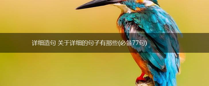 详细造句 关于详细的句子有那些(必备77句),第1张