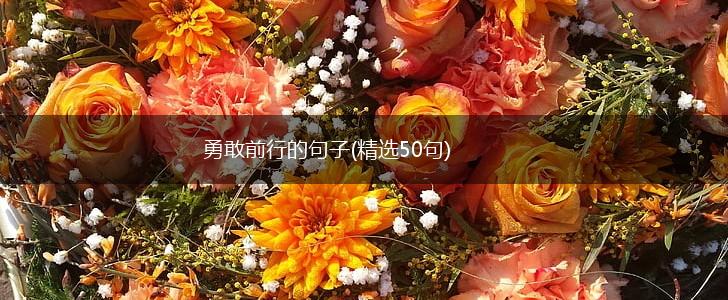 勇敢前行的句子(精选50句),第1张