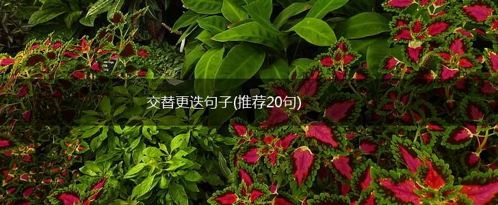 交替更迭句子(推荐20句),第1张