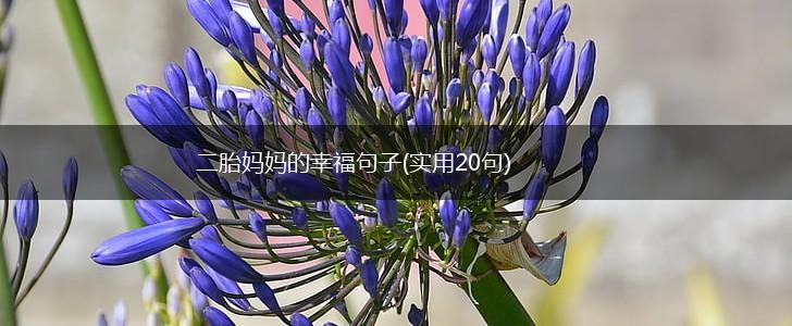 二胎妈妈的幸福句子(实用20句),第1张