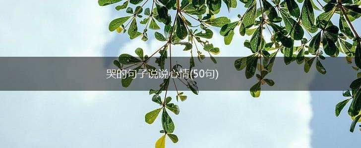 哭的句子说说心情(50句),第1张