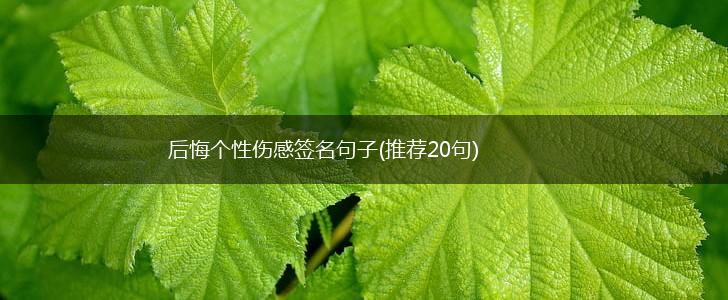 后悔个性伤感签名句子(推荐20句),第1张