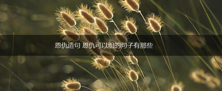 恩仇造句 恩仇可以组的句子有那些,第1张