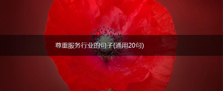 尊重服务行业的句子(通用20句),第1张
