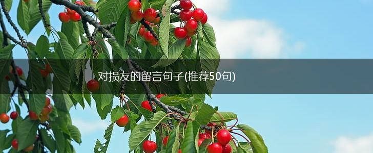 对损友的留言句子(推荐50句),第1张