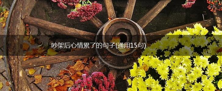 吵架后心情累了的句子(通用15句),第1张