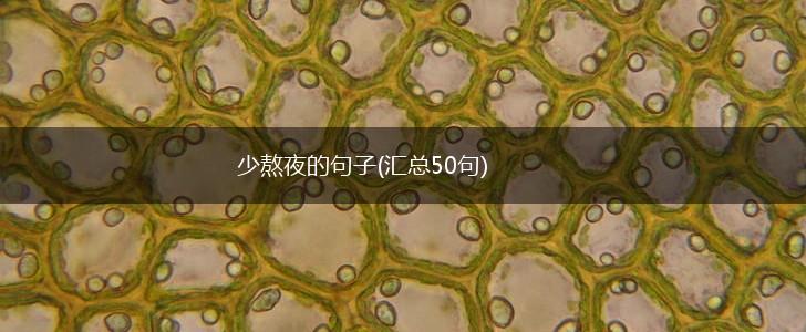 少熬夜的句子(汇总50句),第1张