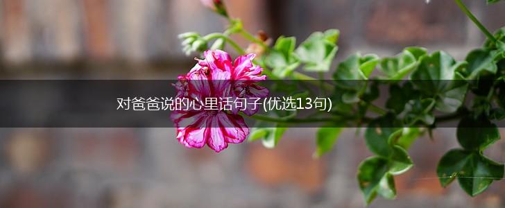 对爸爸说的心里话句子(优选13句),第1张