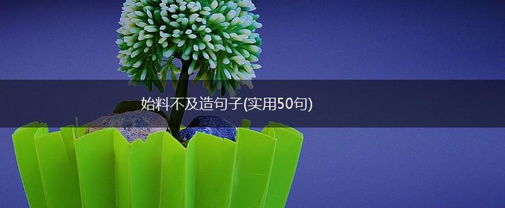 始料不及造句子(实用50句),第1张