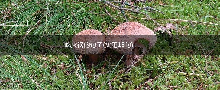 吃火锅的句子(实用15句),第1张