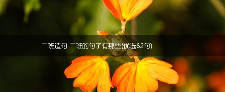 二班造句 二班的句子有那些(优选62句),第1张