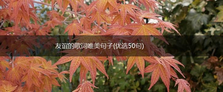 友谊的歌词唯美句子(优选50句),第1张