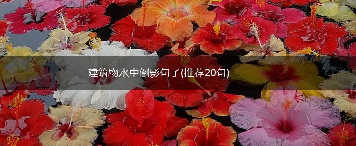建筑物水中倒影句子(推荐20句),第1张