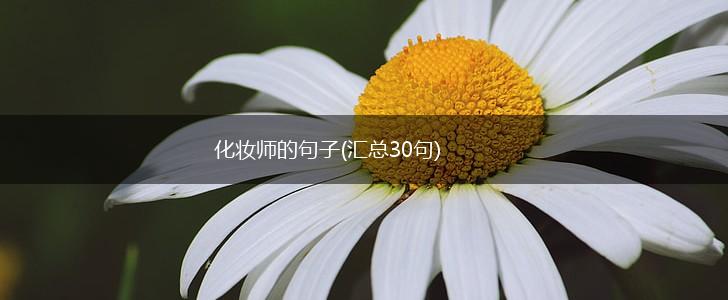 化妆师的句子(汇总30句),第1张