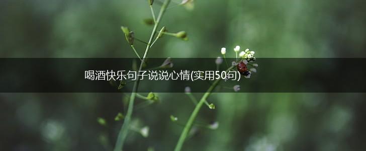 喝酒快乐句子说说心情(实用50句),第1张