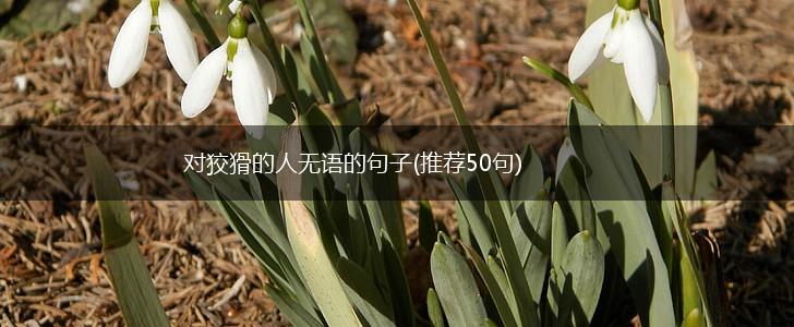 对狡猾的人无语的句子(推荐50句),第1张